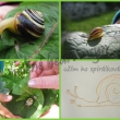 spir�la sama od sebe mu ne�la, tak jsem vymyslila cesti�ku :-) a na prvn� pokus jsem spokojen� :-) ka�d� pokus maloval jinou barvou