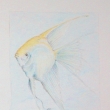 skal�ra/ pastelka - miniatura / cht�lo by to l�pe vyfotit... je n�dhern� pr�zra�n�...