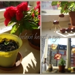 na�e spole�n� dom�c� podzimn� v�zdoba / muchom�rka ze sko��pky o���ku a v�tvi�ky, ka�tanov� zv���tka a pap�rov� vitr�e - listy