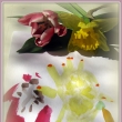 perfektn� si napozoroval bez m�ho z�sahu st�edy kv�tin :-) par�da :-)